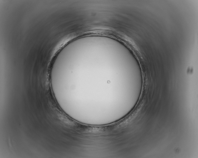 X0000097461362200802220757