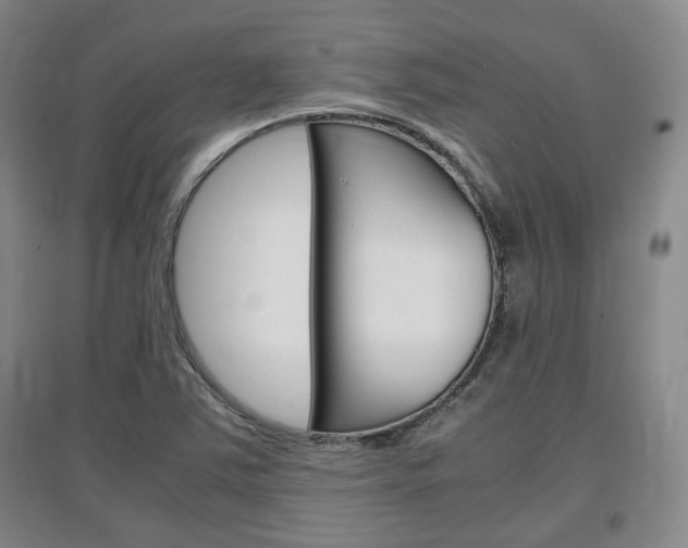 X0000097461363200802220757