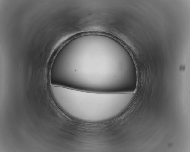 X0000097461364200802220757