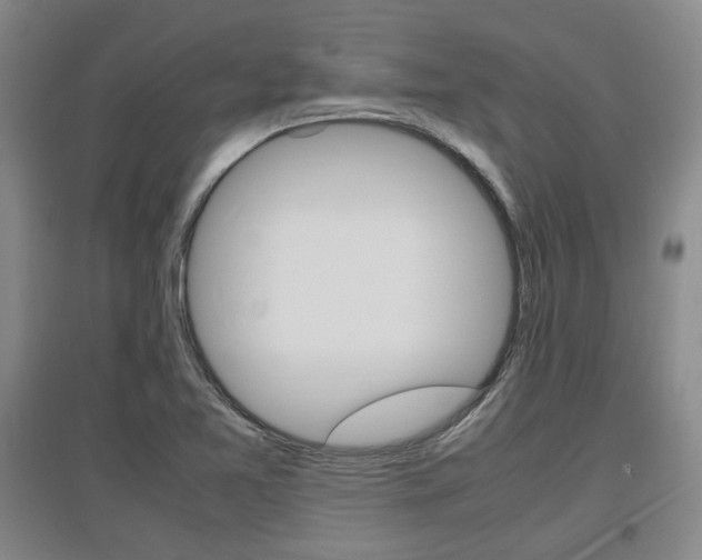 X0000097461365200802220757