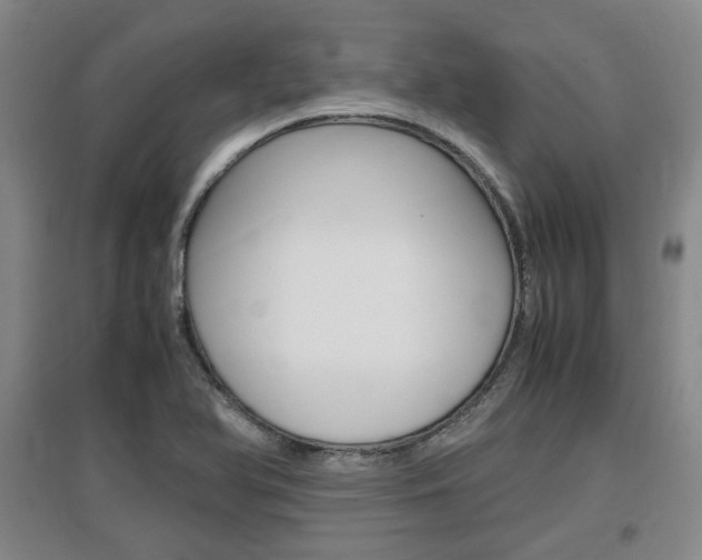 X0000097461366200802220757