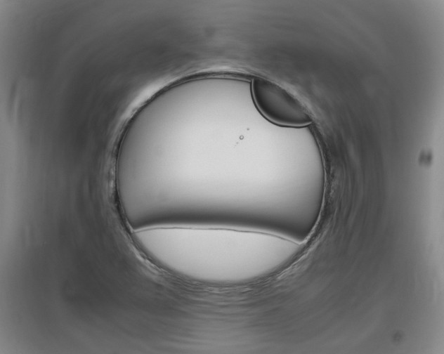 X0000097461367200802220757