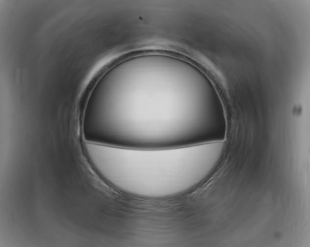 X0000097461368200802220757