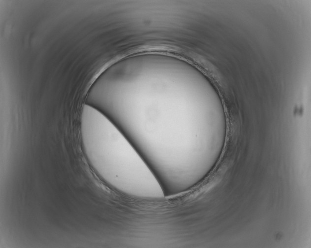 X0000097461369200802220757