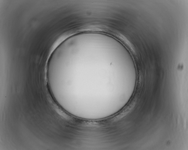 X0000097461370200802220757