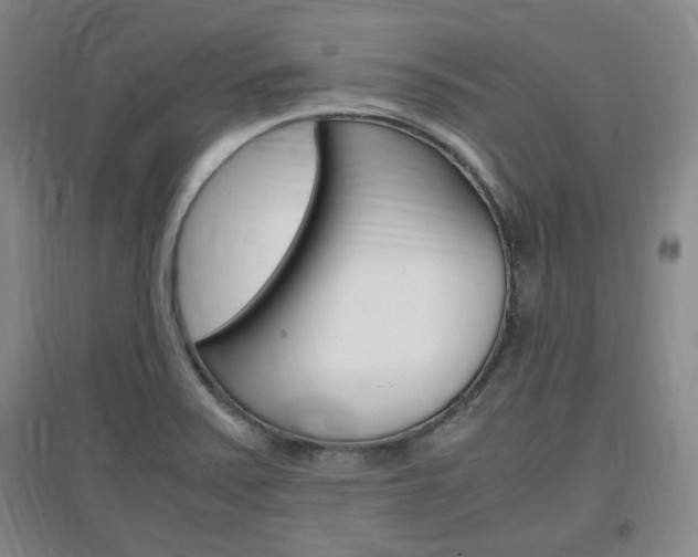 X0000097461371200802220757