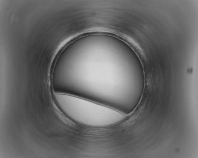 X0000097461372200802220757