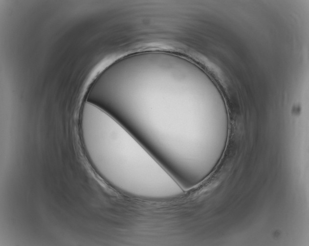 X0000097461373200802220757