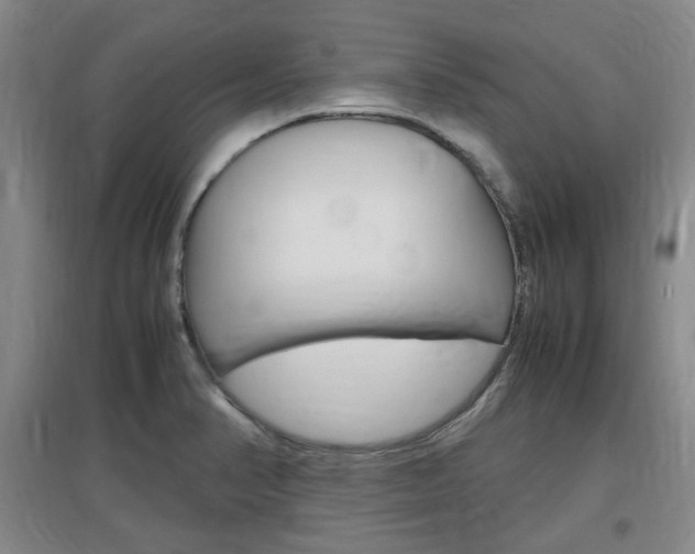 X0000097461374200802220757