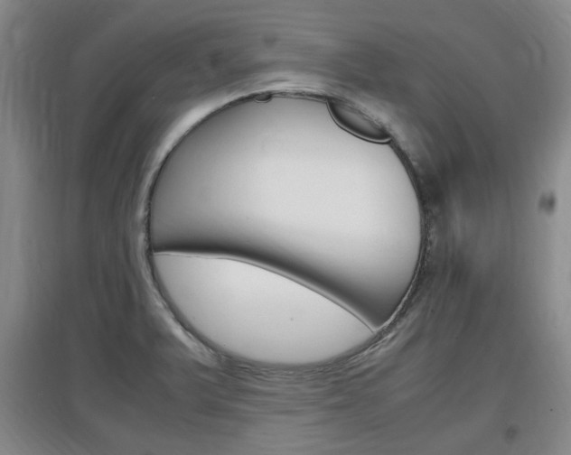 X0000097461375200802220757