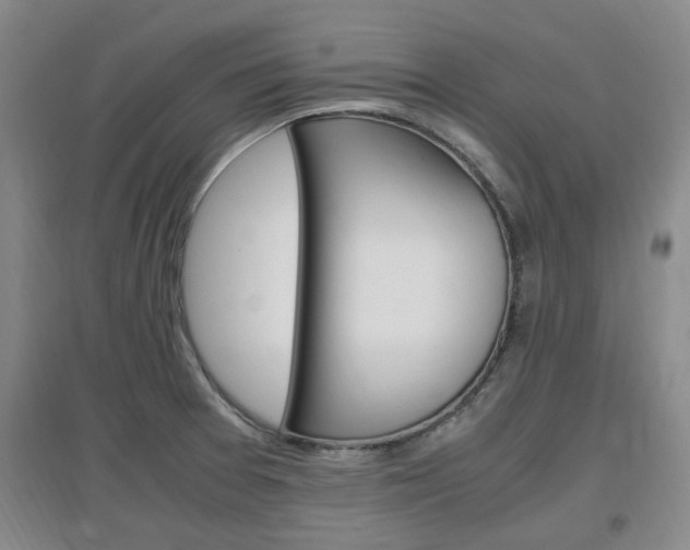 X0000097461377200802220757