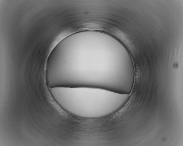 X0000097461378200802220757