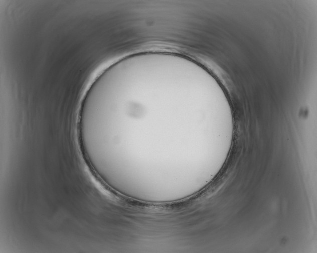 X0000097461379200802220757