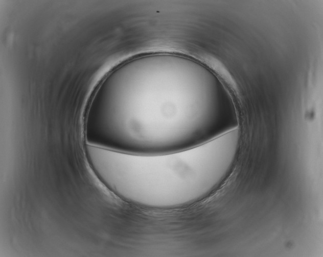 X0000097461380200802220757