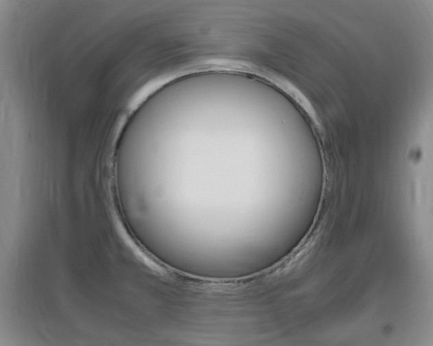 X0000097461381200802220757