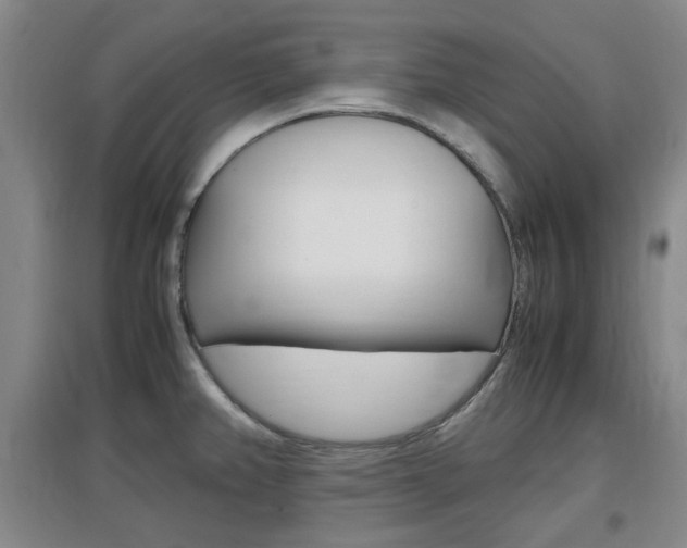 X0000097461382200802220757