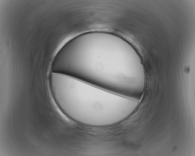 X0000097461383200802220757