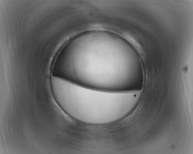 X0000097461384200802220757