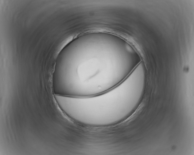 X0000097461385200802220757