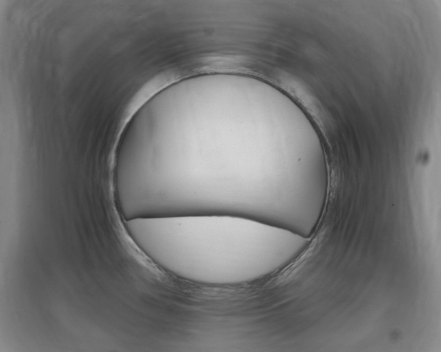 X0000097461386200802220757