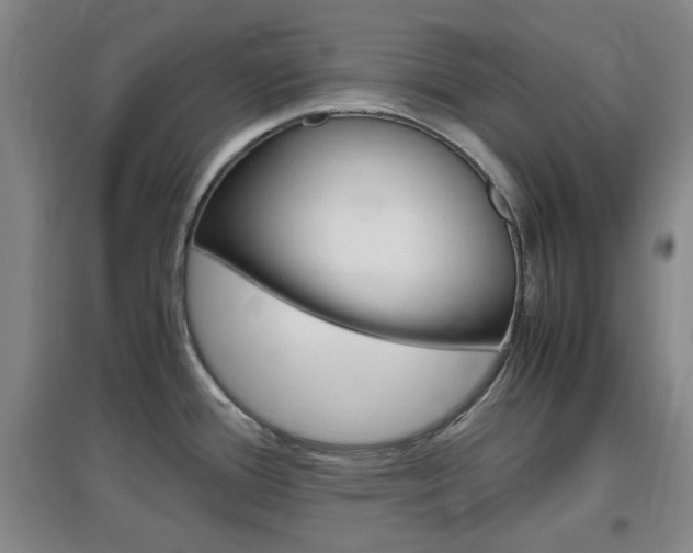 X0000097461388200802220757