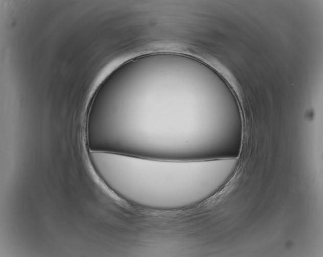 X0000097461389200802220757