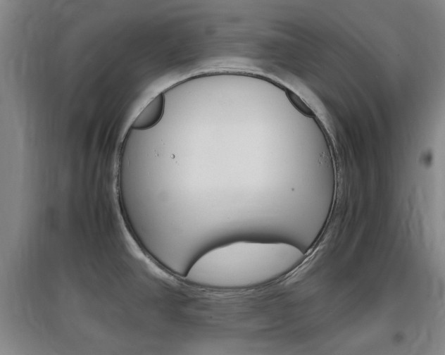 X0000097461390200802220757