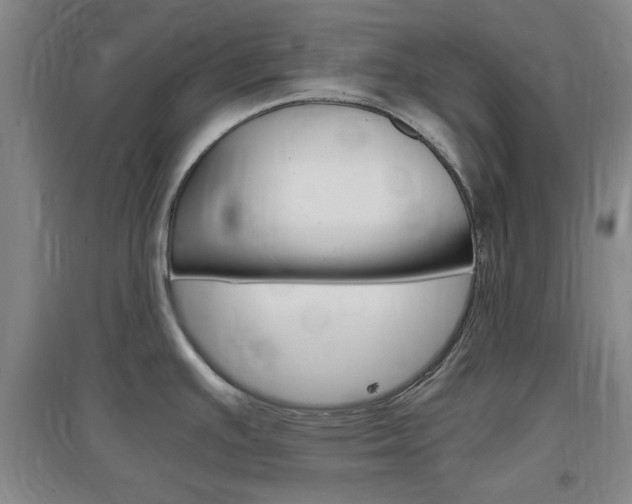 X0000097461391200802220757