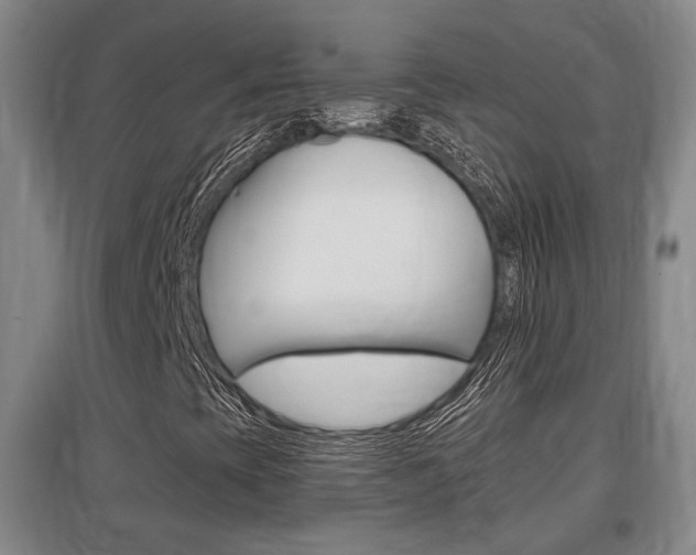 X0000097461393200802220756