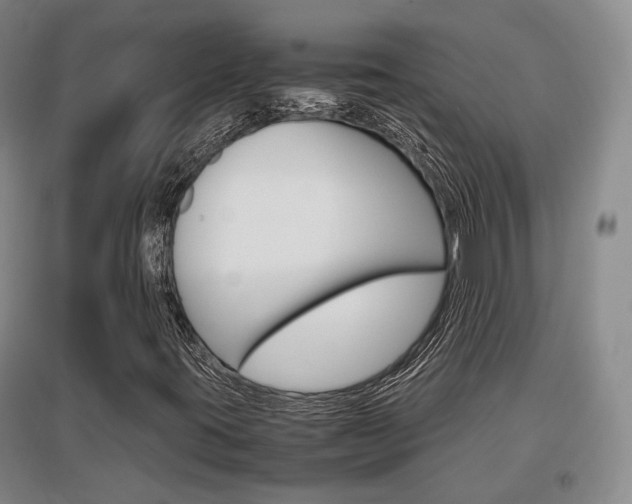 X0000097461395200802220756