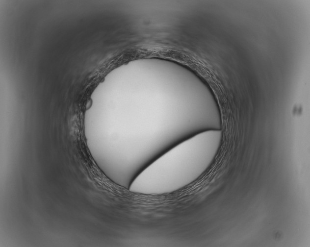 X0000097461397200802220756