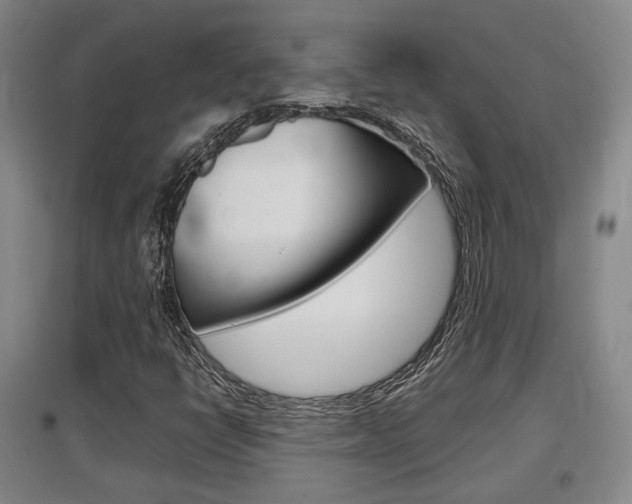 X0000097461398200802220756