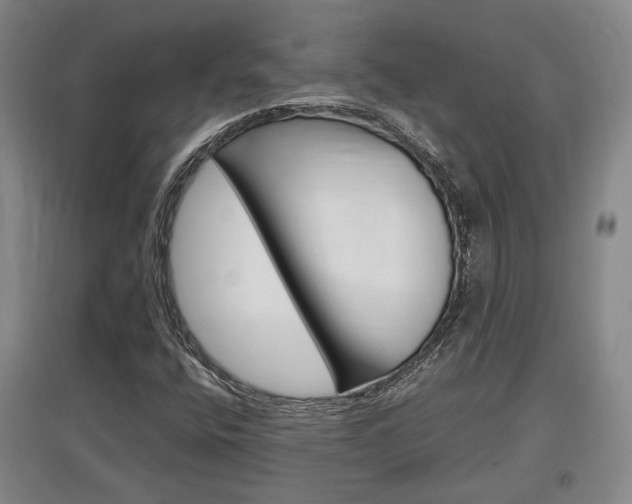 X0000097461400200802220756