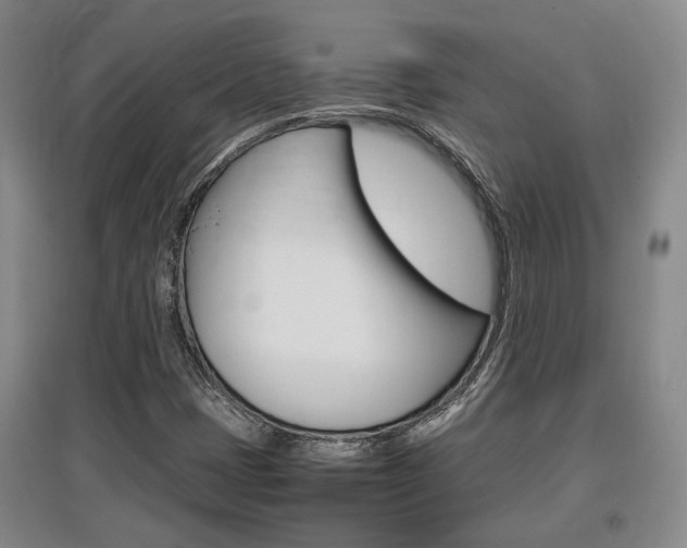 X0000097461401200802220756