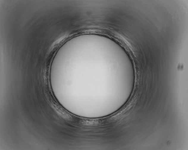 X0000097461403200802220756