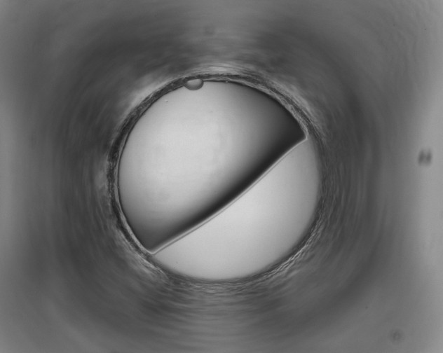 X0000097461404200802220756