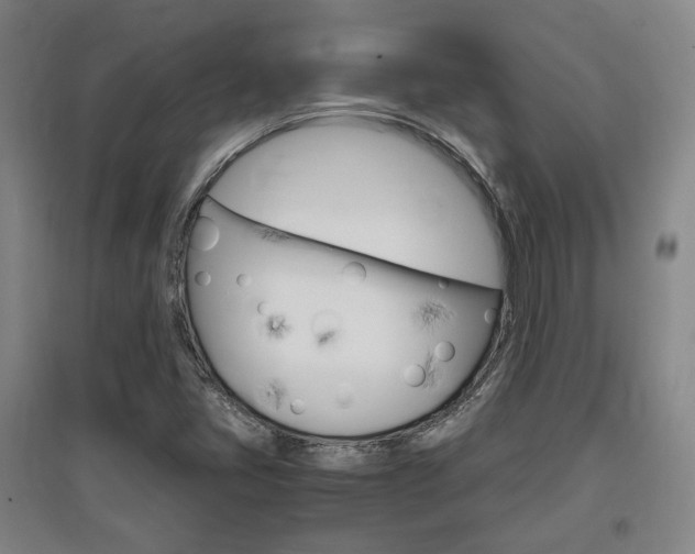 X0000097461405200802220756