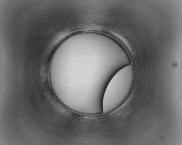 X0000097461407200802220756