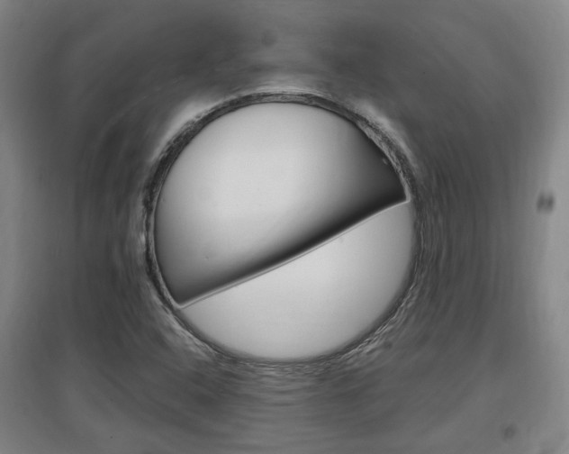 X0000097461408200802220756