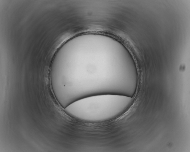 X0000097461409200802220756