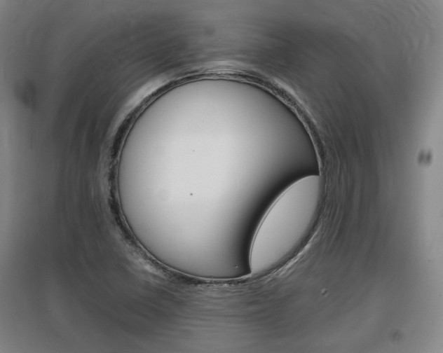 X0000097461410200802220756