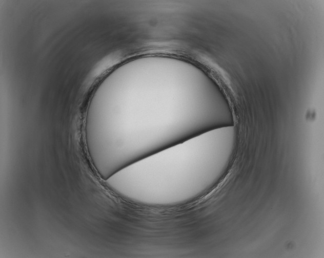 X0000097461411200802220756