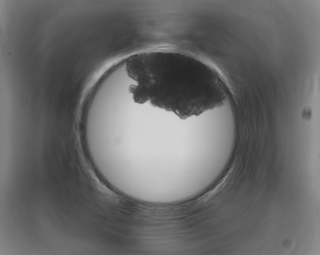 X0000097461414200802220756
