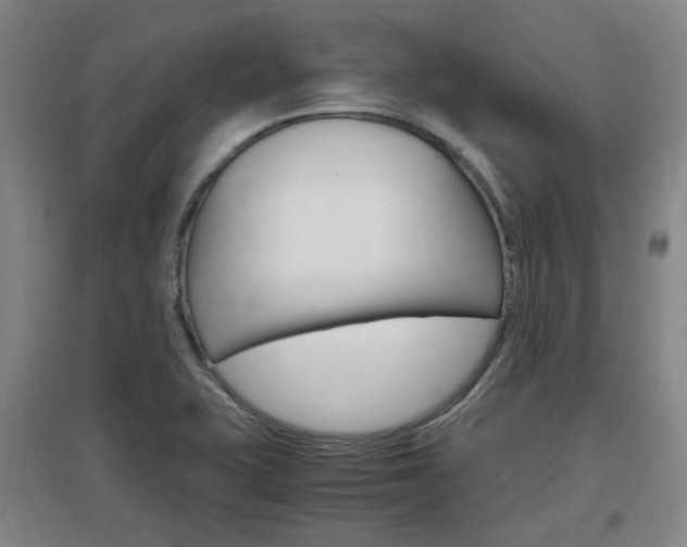 X0000097461415200802220756