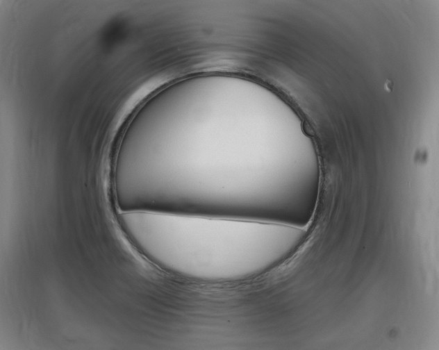 X0000097461418200802220756
