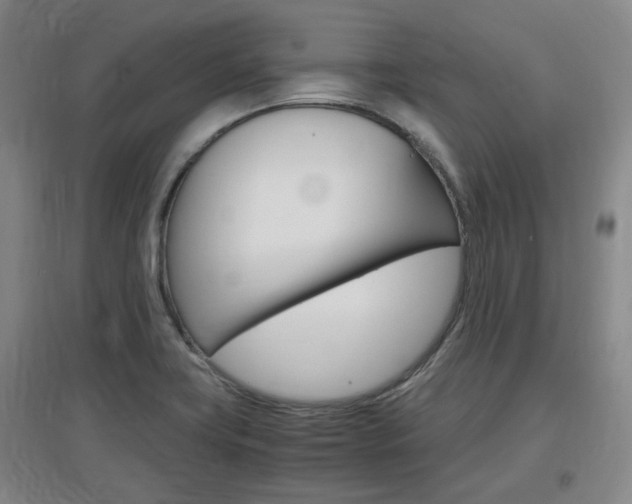 X0000097461419200802220756