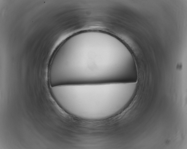 X0000097461420200802220756