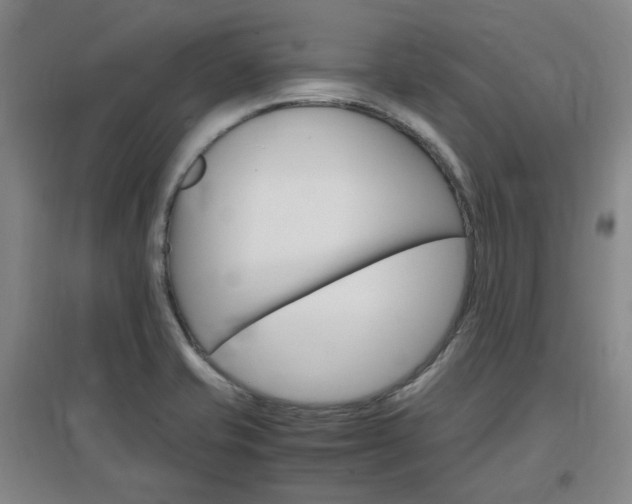 X0000097461421200802220756