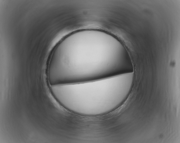 X0000097461422200802220756