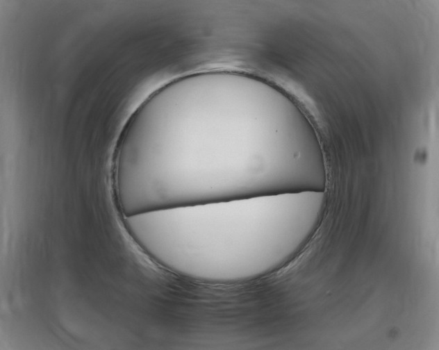 X0000097461423200802220756